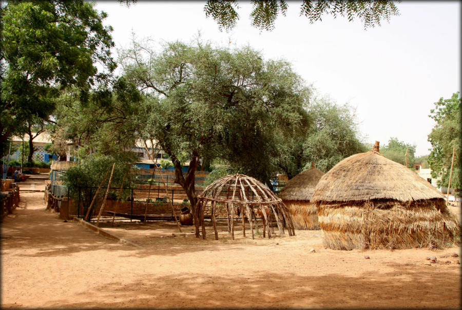 Место, где можно увидеть последнее дерево Сахары Ниамей, Нигер