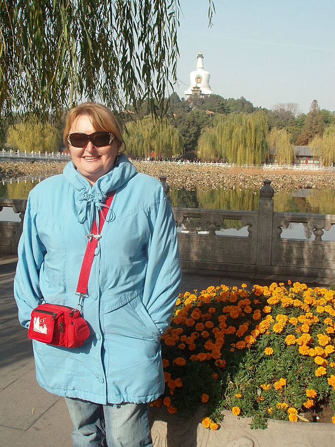Хризантема — цветок Китая Пекин, Китай