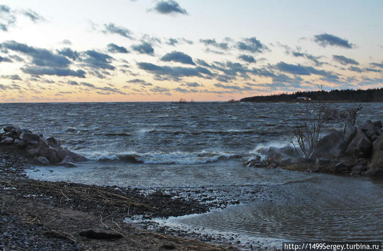 Мелкий ручей, ранее впада Мелкий ручей, ранее впада