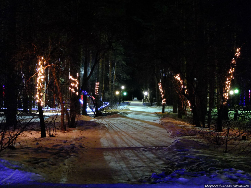 Я в весеннем лесу....пил))) Красноярск, Россия Я в весеннем лесу....пил))) Красноярск, Россия