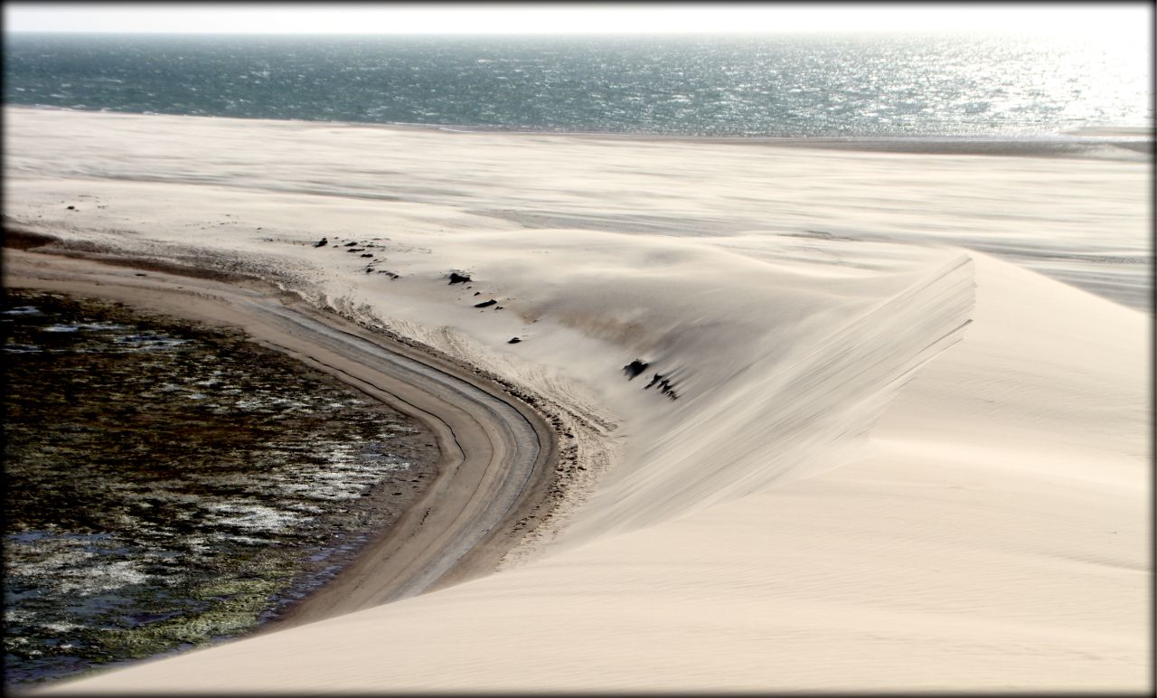 Устрицы, кайтинг, белая дюна или чем заняться в Дахле Дахла, Западная Сахара