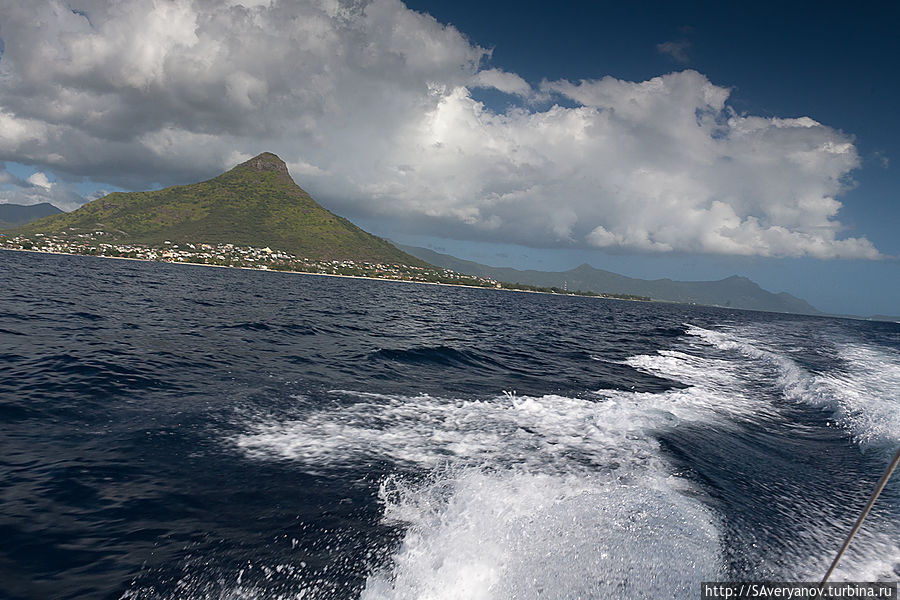Поехали! Поехали!