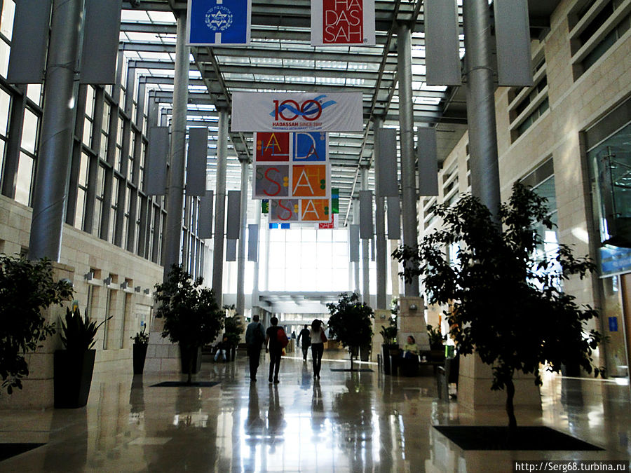 Холл детского корпуса медицинского центра Холл детского корпуса медицинского центра