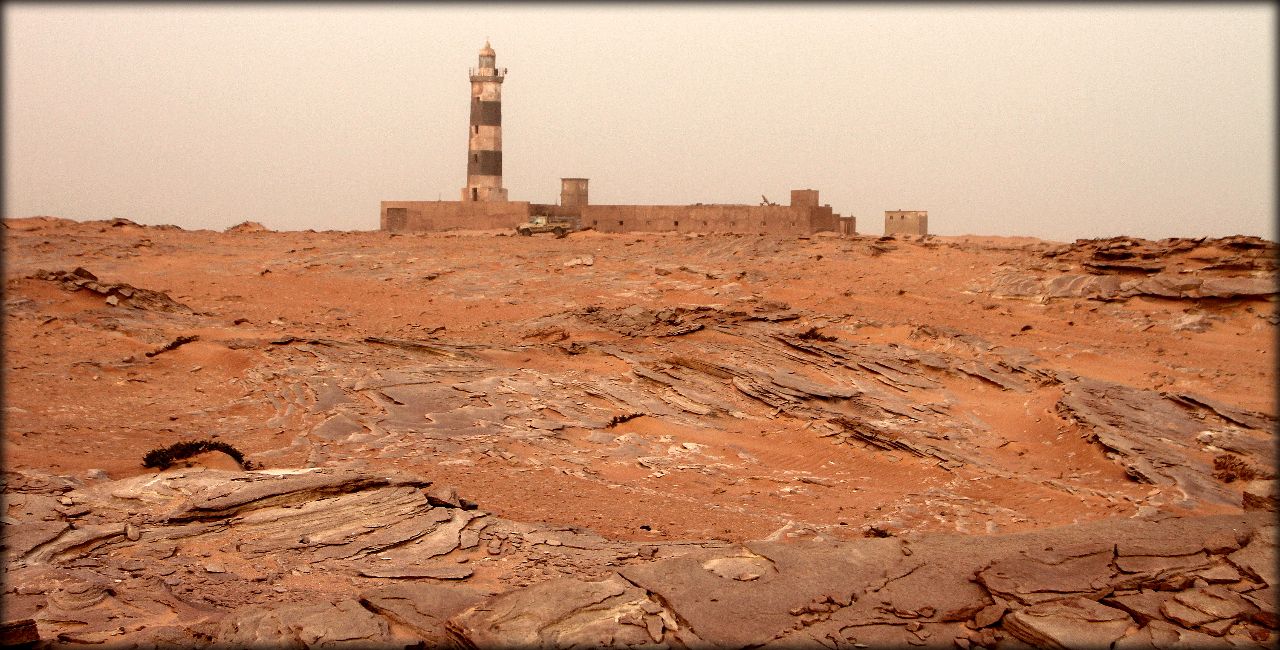 Вымирающий монах полуострова Рас-Нуадибу Кап-Бланк полуостров, Мавритания