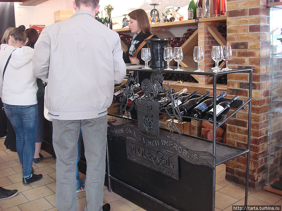 Попробовали 6 сортов вин Попробовали 6 сортов вин