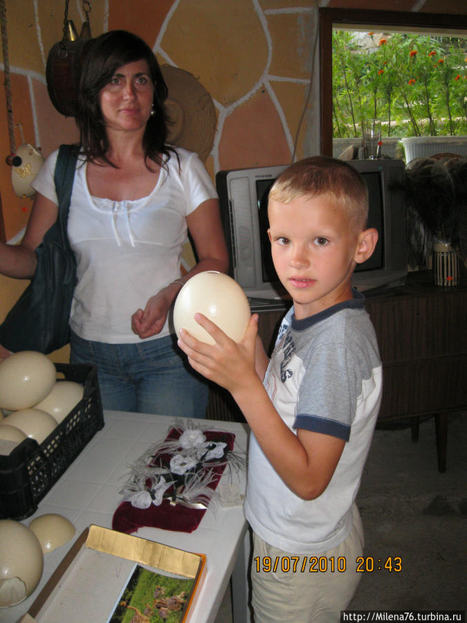 Страусиное яйцо Пампорово, Болгария