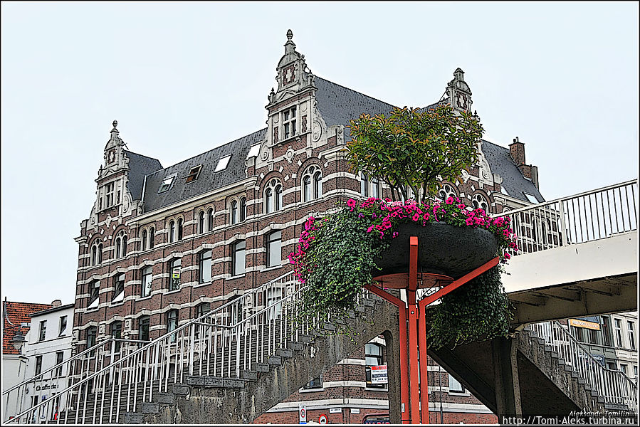 На набережной Шельды много цветов...
* На набережной Шельды много цветов...
*