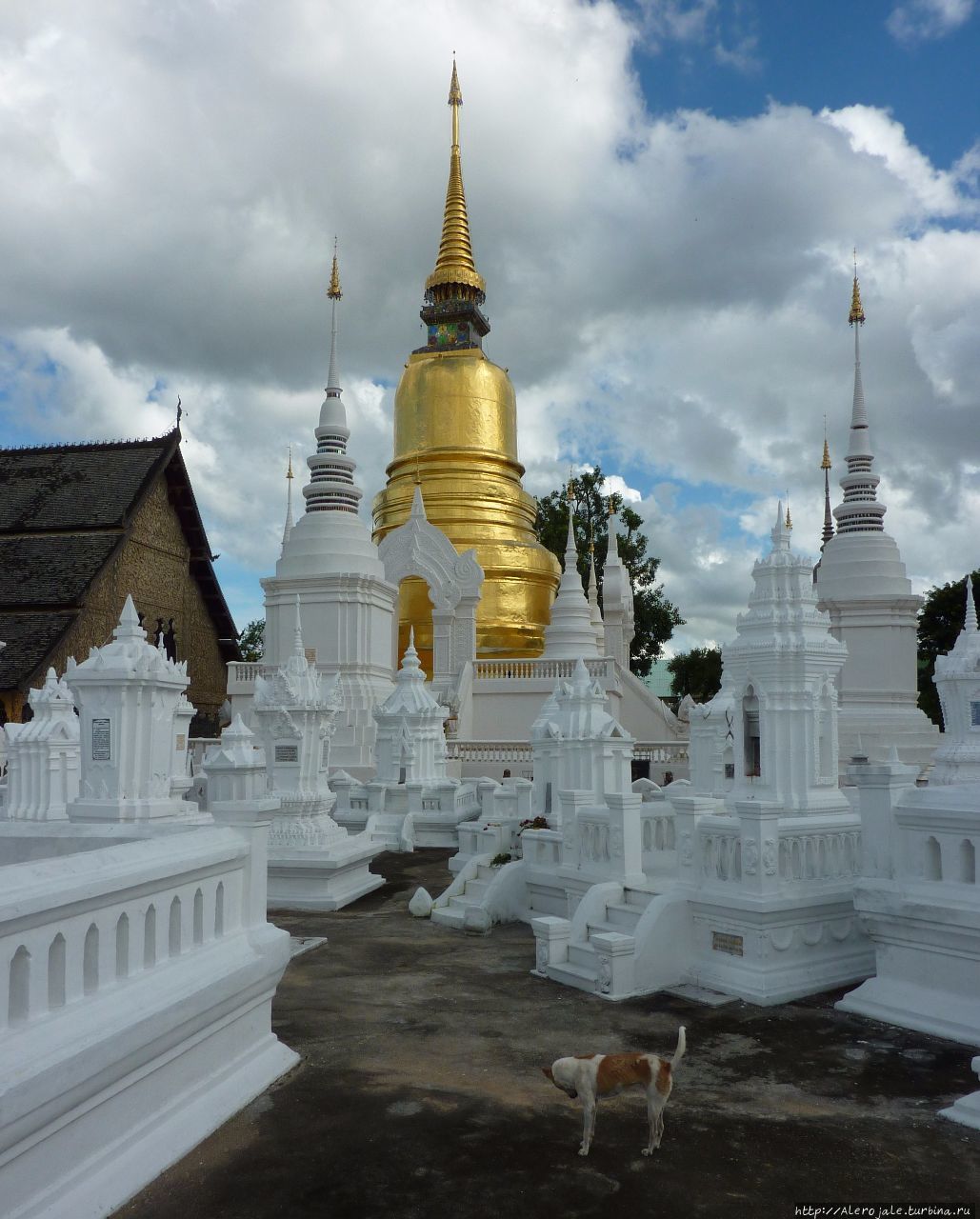 Аэропорт в тайском Чиангмае и сразу к рыжим монахам Чиангмай, Таиланд