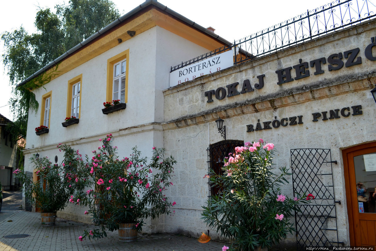 Токай — город короля вин Токай, Венгрия