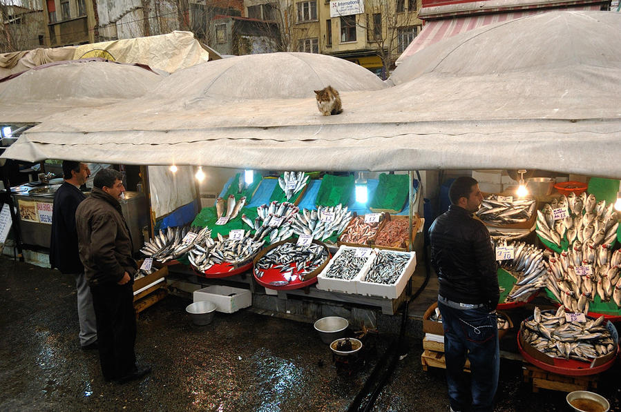 Рыбный рынок у Галатского моста Стамбул, Турция