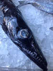 Эшпада — рыба-сабля или рыба-шпага.