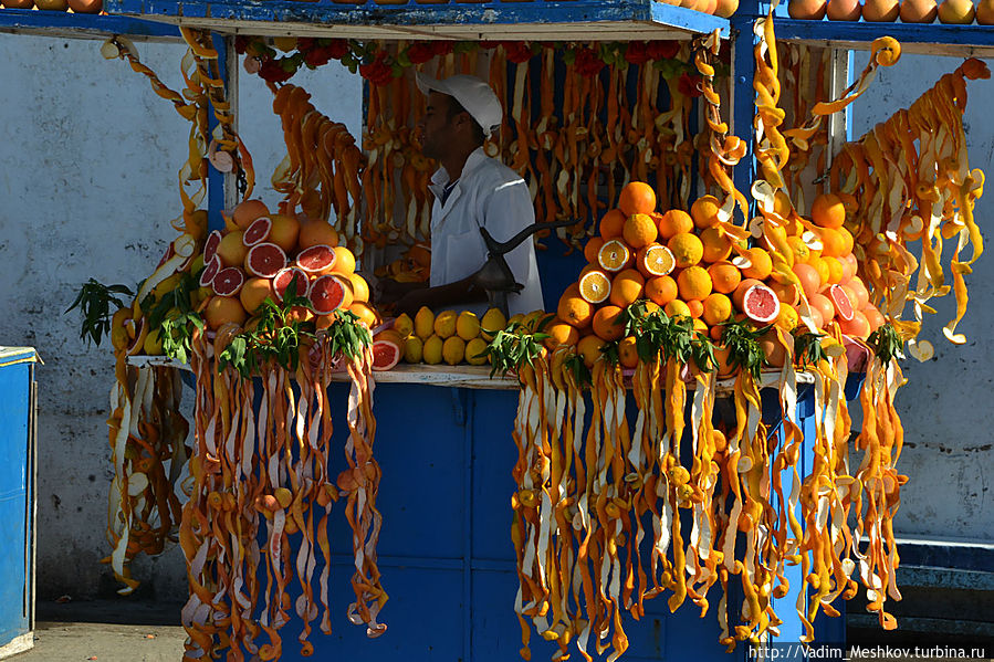 Продажа апельсинов Эссуэйра, Марокко