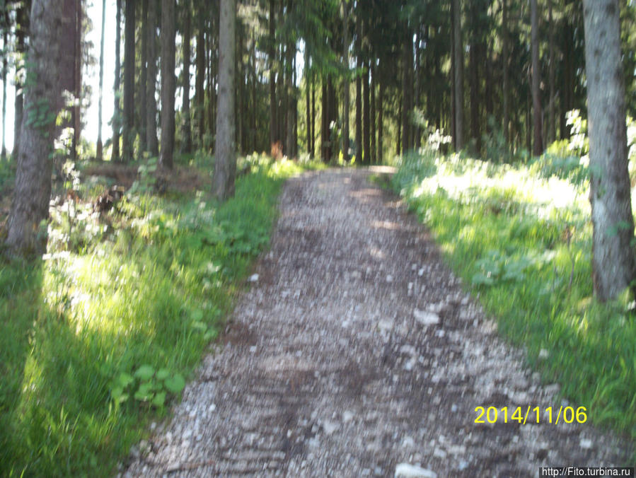 Обычная дорожка в лесу  я даже по началу  пожелел, что пошел по маршруту. Фюссен, Германия