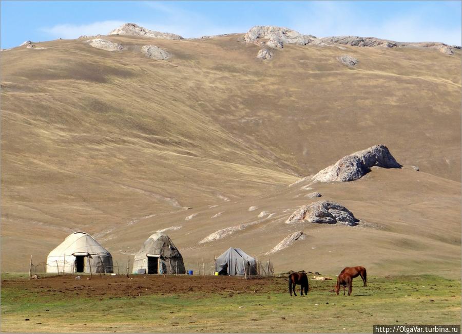 Легко ли жить с чабаном Озеро Сон-Куль, Киргизия