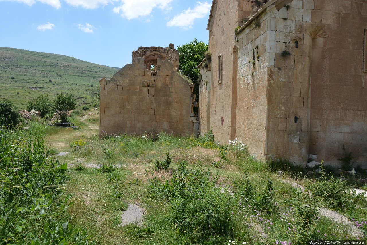 Монастырь Святого Карапета. Букет Армении — цветы и змеи Арарат, Армения