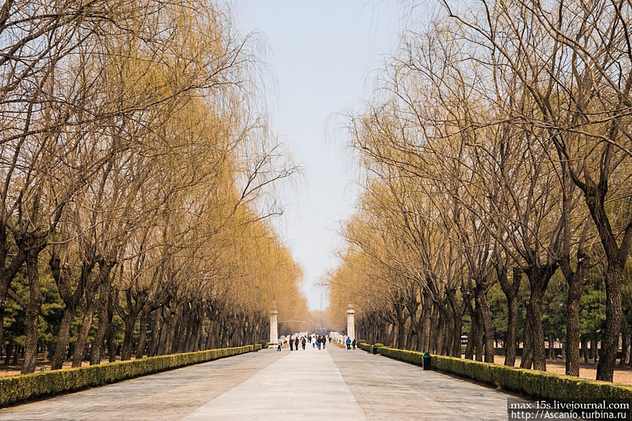 Священный путь открывают две шестигранные колонны, покрытые каменными узорами в виде облаков, а cверху украшенные драконами. Пекин, Китай