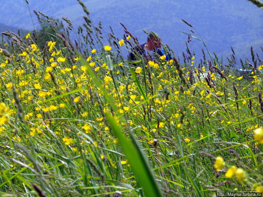 Не все так плохо ... Южно-Сахалинск, Россия Не все так плохо ... Южно-Сахалинск, Россия