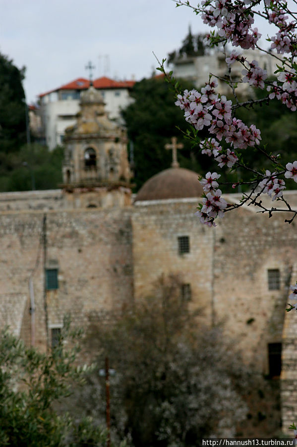 Монастырь Святого Креста Иерусалим, Израиль