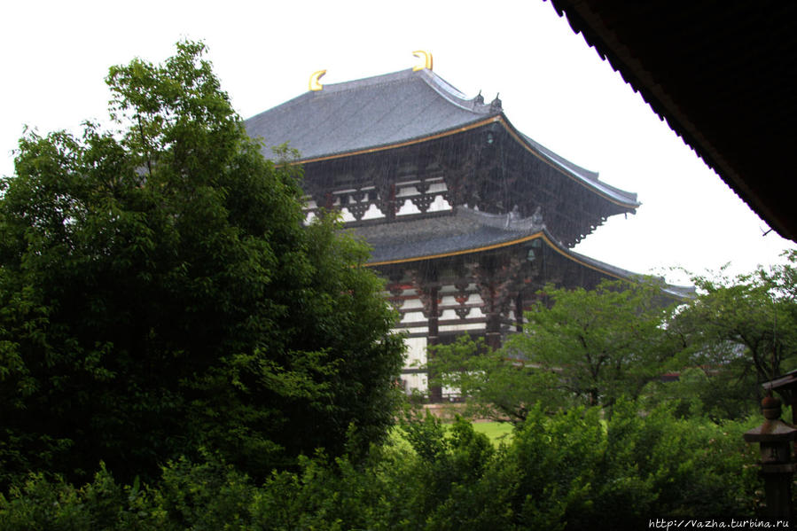 Храм под дождём Нара, Япония