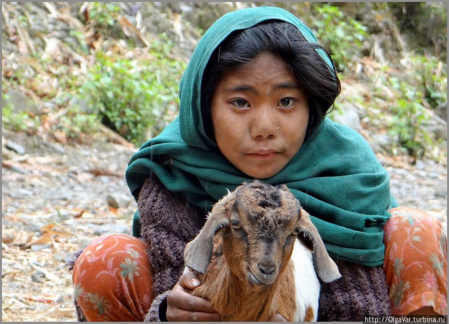 Долго не могла понять, то ли это девочка, пасшая овец, то ли маленькая росточком женщина с усталым лицом Зона Багмати, Непал