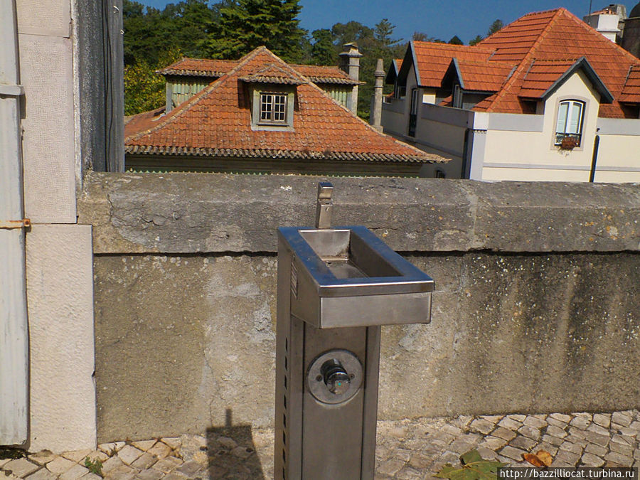 А вот эти штуки весьма пользительны в жару А вот эти штуки весьма пользительны в жару