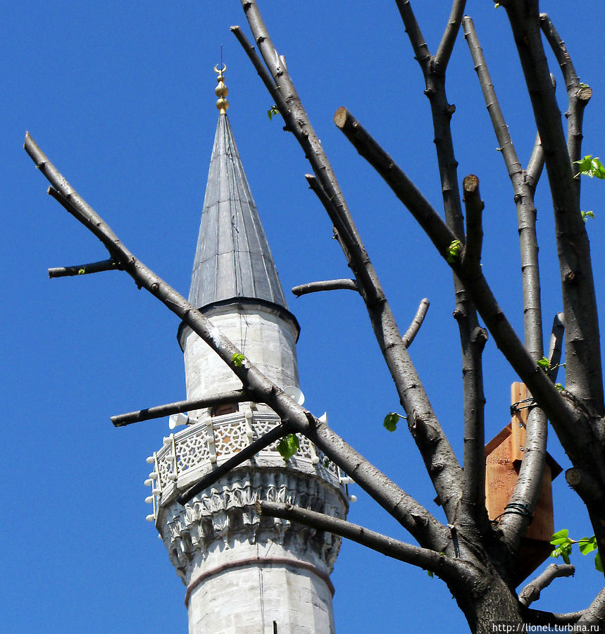 Необъятный Стамбул, часть 2 Стамбул, Турция Необъятный Стамбул, часть 2 Стамбул, Турция