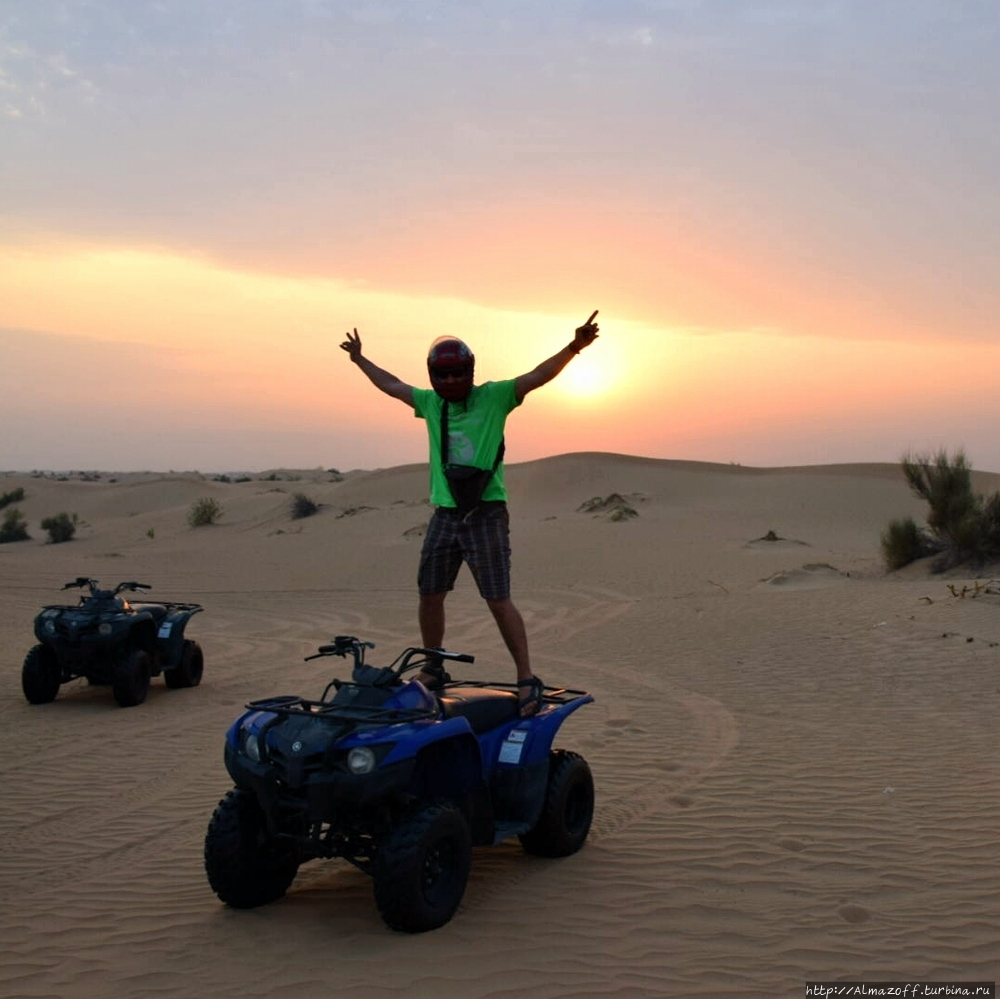 Еще одно сафари. На этот раз в песках Арабских Эмиратов. Малеха, ОАЭ Еще одно сафари. На этот раз в песках Арабских Эмиратов. Малеха, ОАЭ