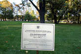 Памятную табличку у дерева открыл губернатор Санкт-Петербурга Георгий Полтавченко.