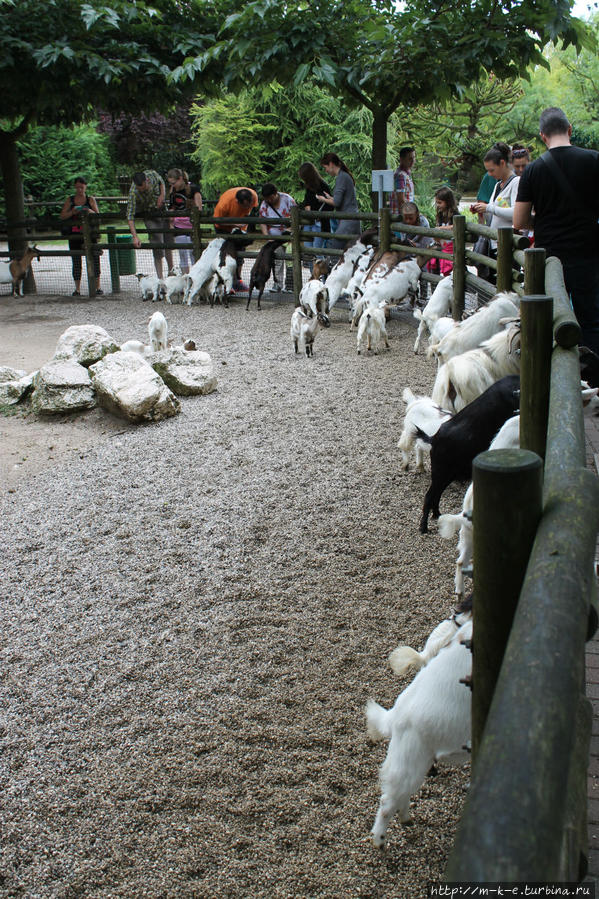 Зоопарк Пунта Верде Линьяно-Саббиадоро, Италия