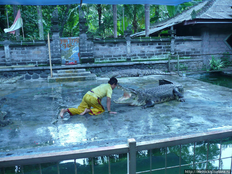 Парк Крокодилов Менгви, Индонезия