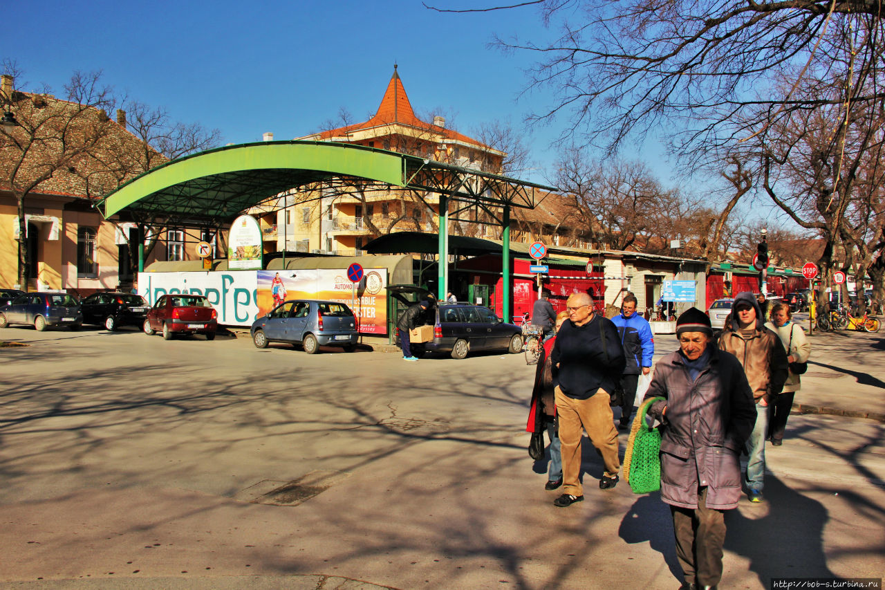 Суботица. Город велосипедистов Суботица, Сербия Суботица. Город велосипедистов Суботица, Сербия