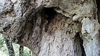Осадочные породы, известняк. Вход в пещеру Райфл, Колорадо.