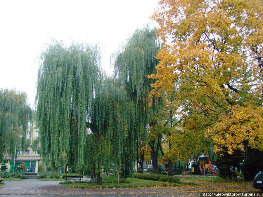 Прогулка по Ченстохове Ченстохова, Польша