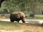 Национальный зоологический парк, Нью-Дели, Индия