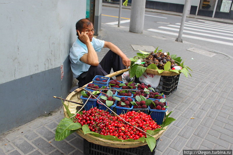 Шанхайцы Шанхай, Китай Шанхайцы Шанхай, Китай