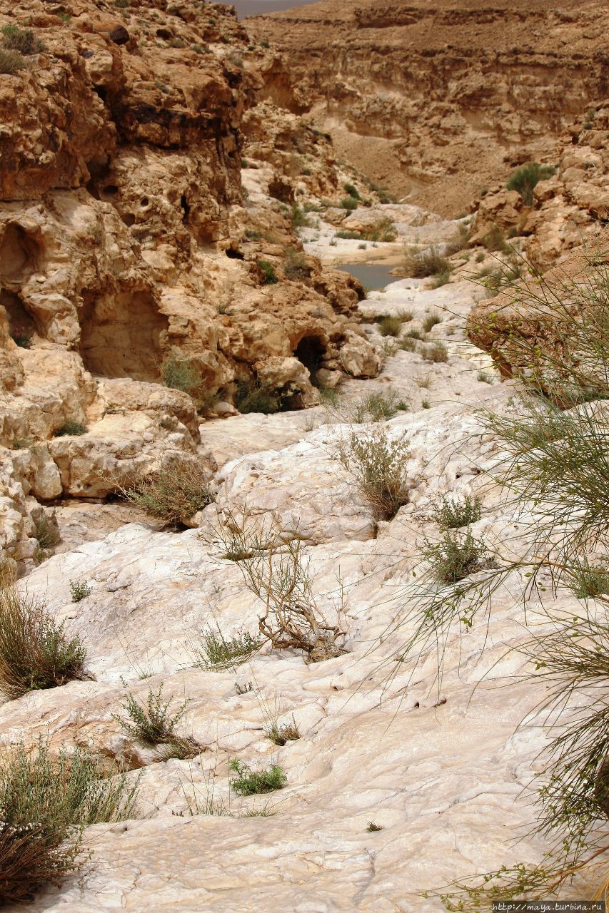 Русло реки Мицпе-Рамон, Израиль