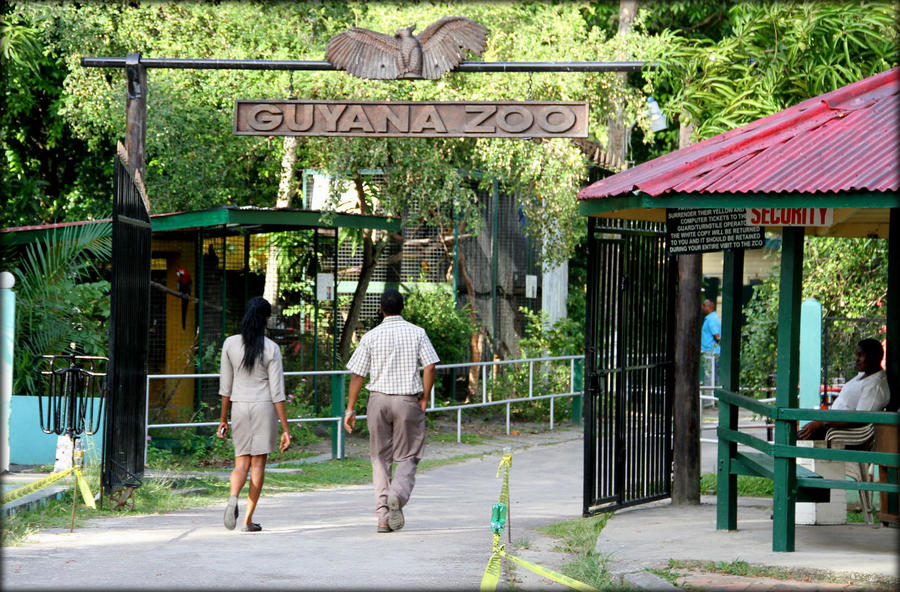 Зоопарк города Джорджтаун Джоржтаун, Гайана