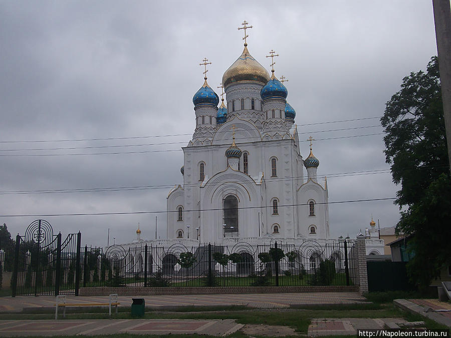 Cathedral of Our Lady of Vladimir / Church of the Multiplication