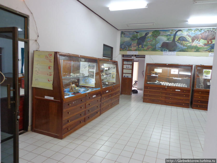 Музей динозавров Саваннакхет, Лаос