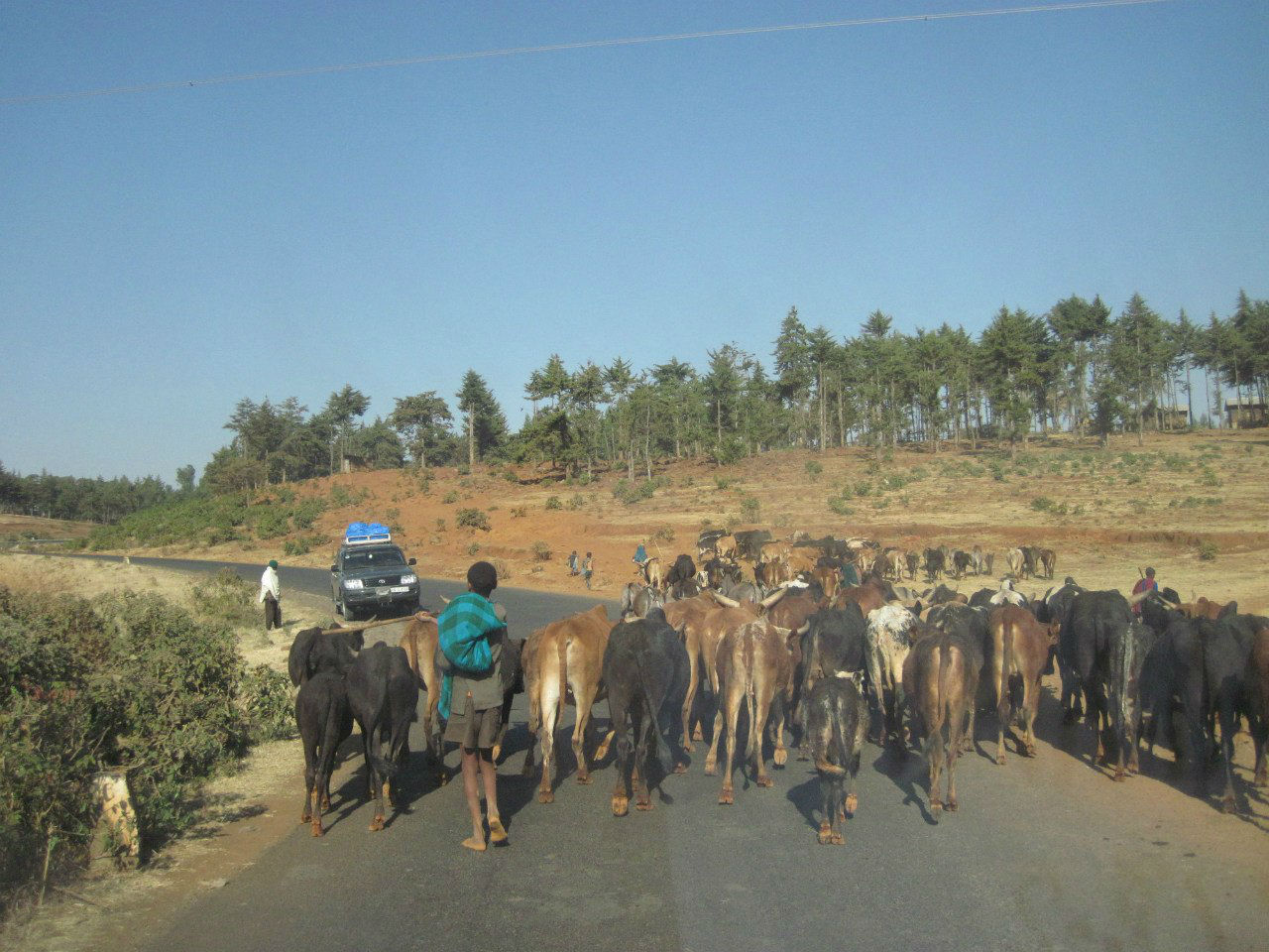Дорога из Аддис-Абебы в Бахр-Дар Эфиопия
