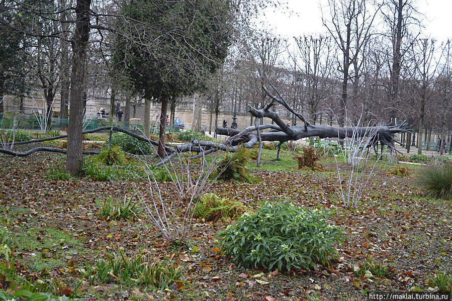Поваленное дерево — на самом деле арт-объект L’Arbre des voyelles (Джузеппе Пеноне). Париж, Франция
