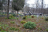 Поваленное дерево — на самом деле арт-объект L’Arbre des voyelles (Джузеппе Пеноне).