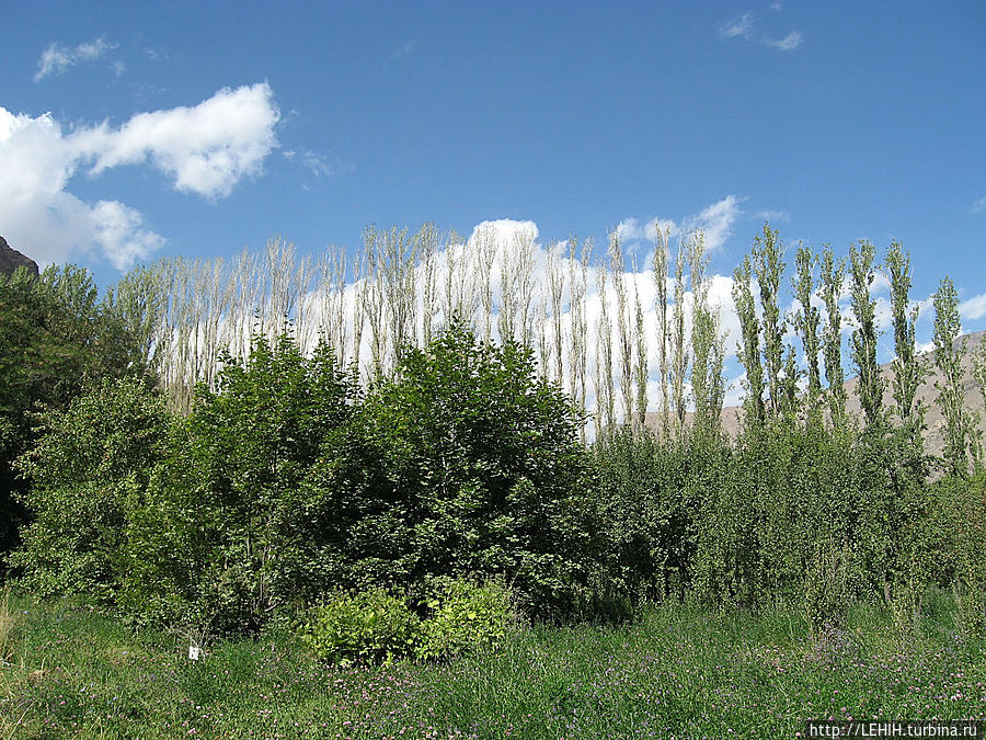 Ботанический сад Хорог, Таджикистан