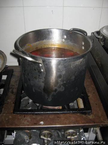 День Рождения в ботаническом саду Букараманга, Колумбия День Рождения в ботаническом саду Букараманга, Колумбия