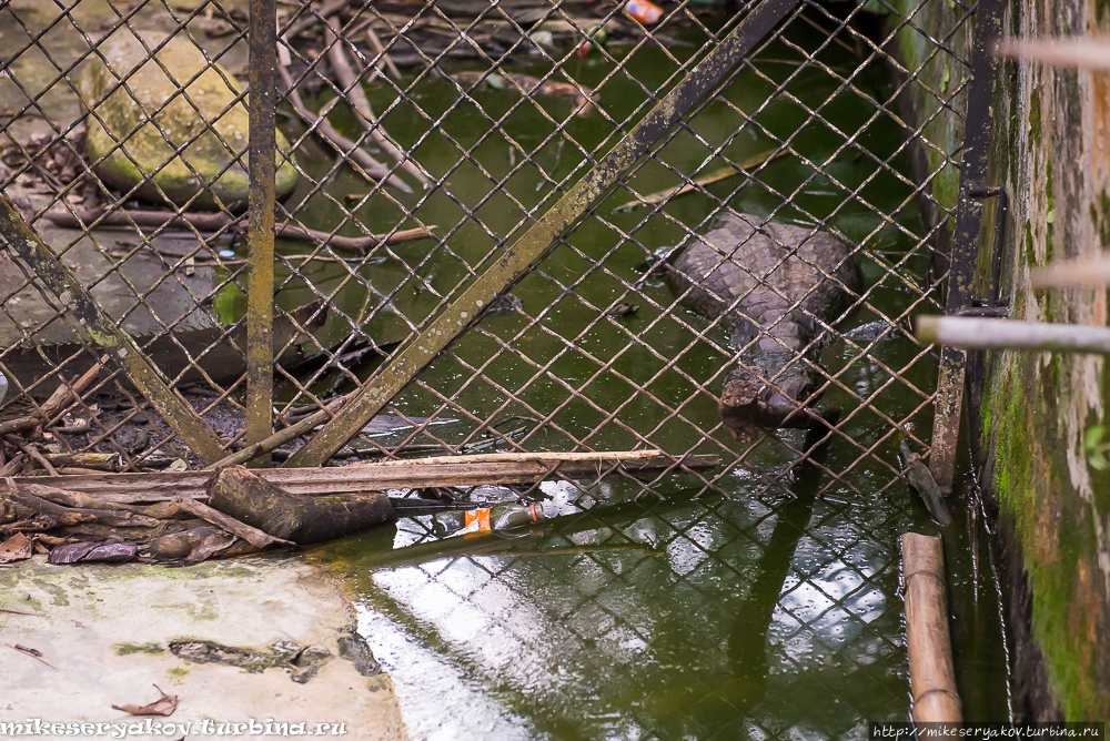 Зоопарк Браззавилля Браззавиль, Республика Конго