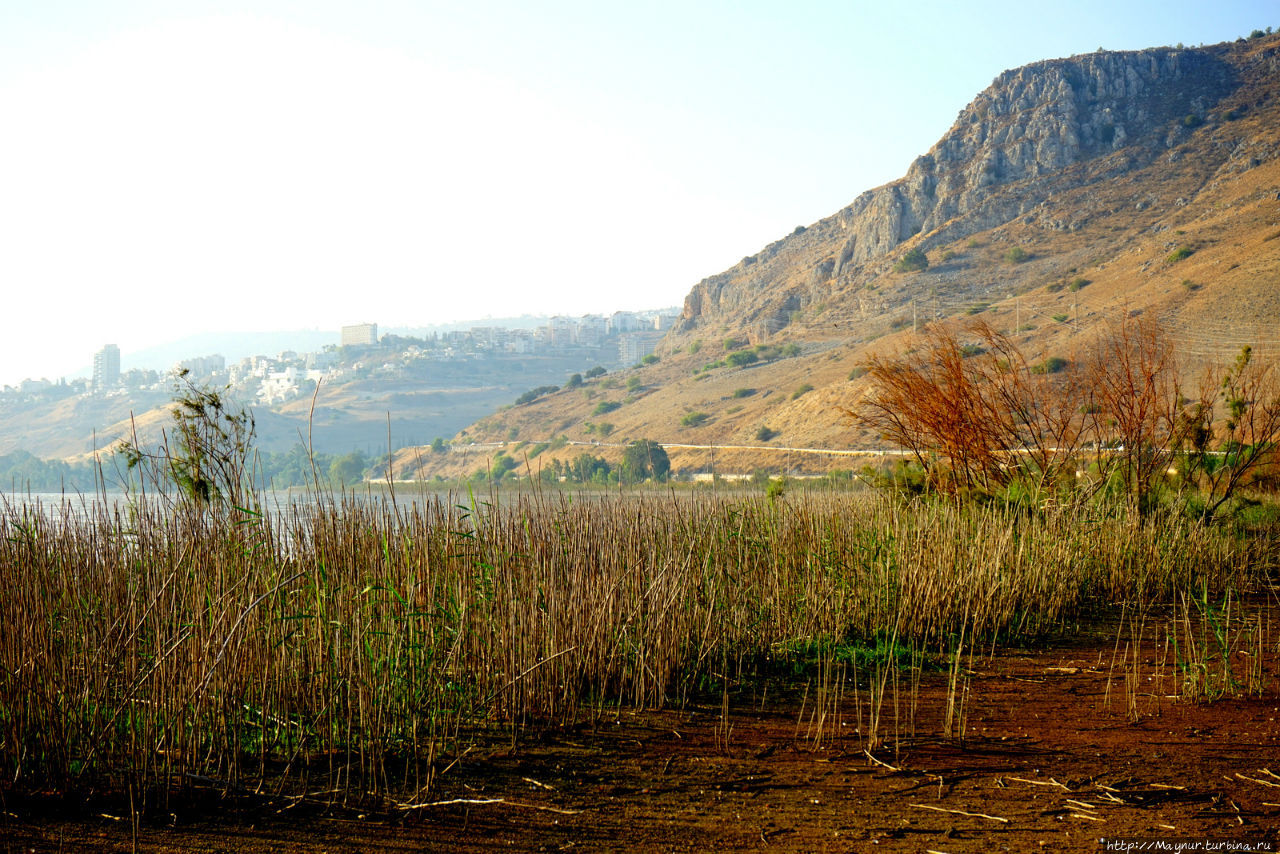 Там,  на  горизонте,  виден  город  Тверия. Галилейское море озеро, Израиль
