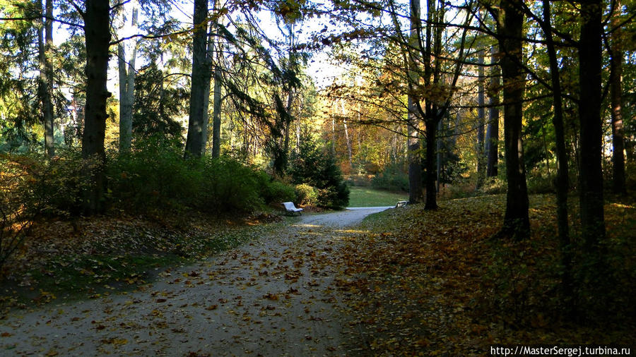 Осень в Паланге Паланга, Литва