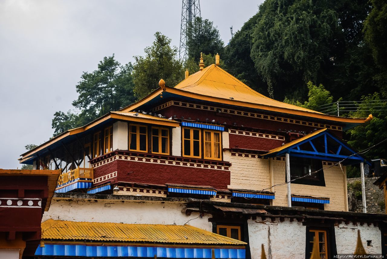 Himalaya Nyinmapa Buddhist Temple, Manali, Himachal Pradesh Манали, Индия