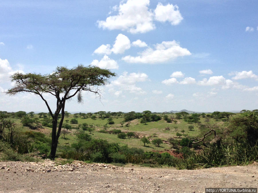 Олдувайское ущелье / Olduvai Gorge