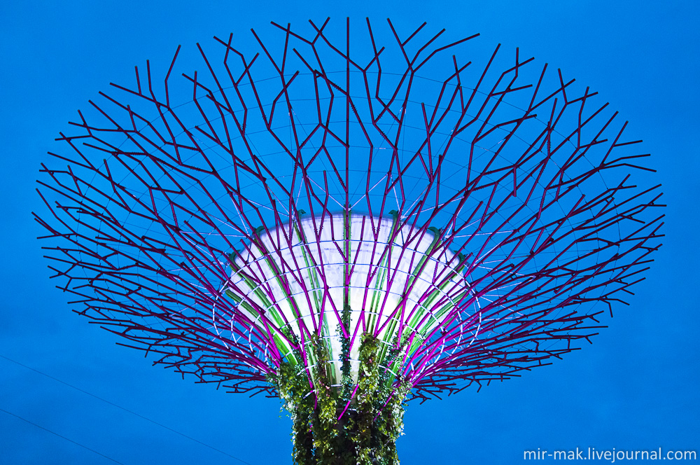 Деревья из стали?! – В Сингапуре и не такое возможно! Сингапур (город-государство)